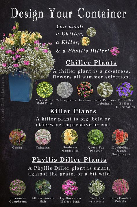 Having Fun With A New Container Recipe Thrillers Fillers Spillers, Ivy Geraniums, Front Porch Plants, Porch Plants, Getting Bored, Planting Plan, Container Gardening Flowers, Garden Bulbs, Garden Deco