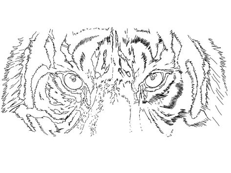 Tiger Eyes Tattoo Stencil, Lion Tattoo Stencil, Gg Tattoo, Tiger Eyes Tattoo, Tiger Face Tattoo, Eye Stencil, Svg Animals, Angel Coloring Pages, Cool Tattoo Drawings