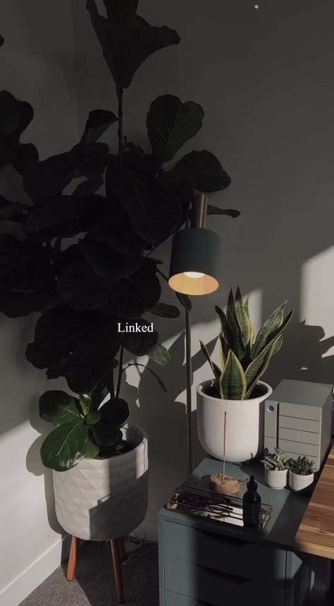 Minimalist Dark Apartment, Black Room With Plants Aesthetic, Clean Room Aesthetic Minimalist Dark, Black Desk Decor Ideas Aesthetic, Mens Bedroom Plants, Dark Minimalist Aesthetic Bedroom, Dark Plant Bedroom, Black Aesthetic Decor, Black Minimalist Room