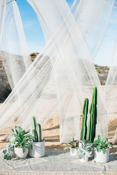 At this desert wedding, the potted cacti almost feel like they're part of the natural landscape. Add in sheer draping and a bohemian rug accent for the perfect ceremony set-up. Wedding Aisles, Ceremony Arrangement, Tattoo Plant, Cactus Wedding, Wedding Altars, Wedding Ceremony Backdrop, Eco Friendly Wedding, Succulent Wedding, Decoration Originale