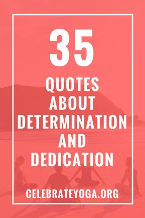 35 Quotes About Determination and Dedication Quotes About Determination, Dedication Quotes, Leadership Goals, Determination Quotes, Team Motivation, Some Quotes, Team Success, Business Expansion, Leadership Development