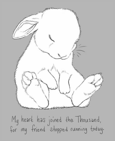 So sad 😭 Rabbit Feet Drawing, Bunny Feet Drawing, Rabbits In Love, Lost A Friend, I Lost A Friend, Beer Painting, Rabbit Drawing, Bunny Care, Watership Down