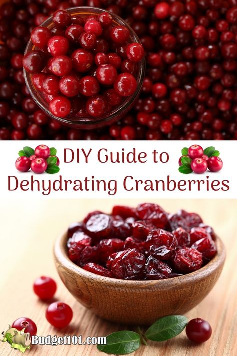 Dehydrated Cranberry Recipes, What Can You Make In A Dehydrator, Drying Cranberries In Dehydrator, Dehydrated Cranberries In Dehydrator, How To Make Dried Cranberries, Diy Dried Cranberries, How To Dry Fruit In The Oven, Drying Cranberries In Oven, Dehydrating Cranberries In Dehydrator