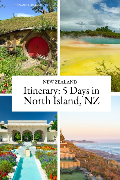 5 Days in North Island New Zealand: Bay of Plenty & Waikato • The Wanderbug Hawkes Bay New Zealand, Bay Of Plenty New Zealand, Bay Of Islands New Zealand, Duck Island, New Zealand North Island, Tasmania Hobart, New Zealand Cities, Australia Trip, New Zealand Itinerary