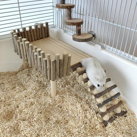 Smarter Shopping, Better Living! Aliexpress.com Diy Hamster Cage, Hamster Cage Ideas, Kandang Hamster, Hamster Platform, Hamster Supplies, Rat Cage Accessories, Cage Hamster, Hamster Diy, Hamster Life