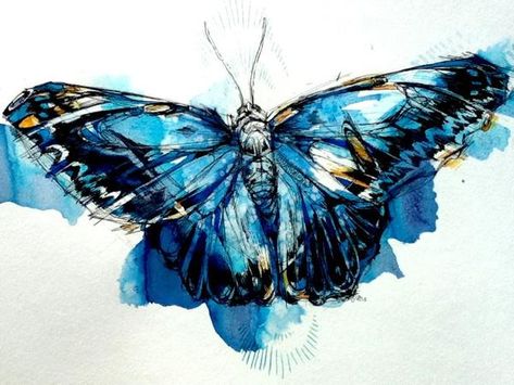 Abby Diamond is an amazing illustrator from Pennsylvania, US. As a fine arts graduate and animal lover, Abby created a stunning series of watercolor animals paintings. The birds are portrayed as if they have emotions and can speak with their eyes. Abby Diamond, Natural Form Art, Watercolor Paintings Of Animals, Butterfly Artwork, Butterfly Art Print, Morpho Butterfly, Insect Art, Gcse Art, Butterfly Watercolor