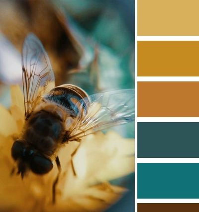 Monarch Color Palette, Bumble Bee Color Palette, Honey Bee Color Palette, Honey Colour Palette, Bee Colour Palette, Gold Palette Colour Schemes, Mustard Yellow Color Combinations, Honey Color Palette, Yellow Color Combinations