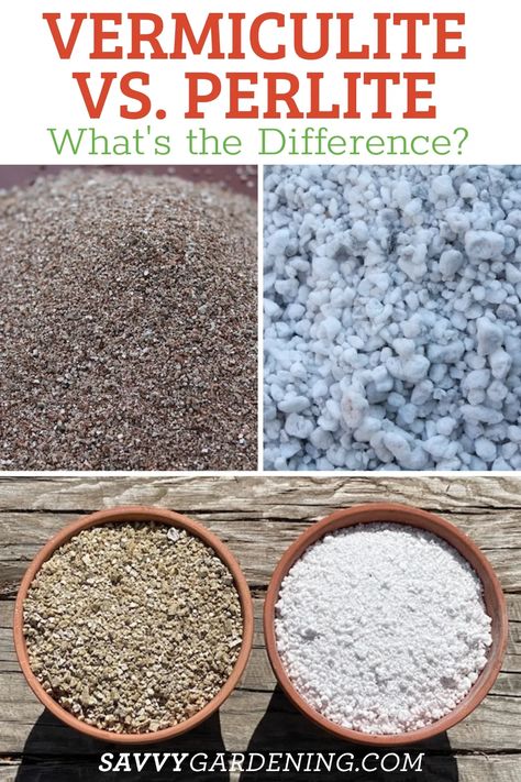 What is the difference between perlite and vermiculite and which one should you use? Lepidolite Vs Amethyst, Vermiculite Vs Perlite, Perlite Propagation, Preparedness Ideas, How To Amend Garden Soil, Improve Soil Quality, Organic Pest Control, Seed Starting Mix, Natural Fertilizer