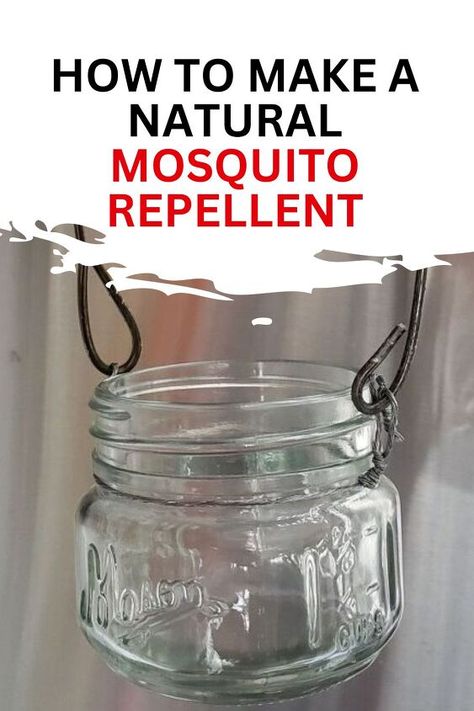 "DIY Mosquito Repellent: Keep those pesky bugs at bay with our natural and effective homemade solution! This easy-to-make repellent is crafted from safe, organic ingredients, providing you and your loved ones with a worry-free outdoor experience. Enjoy mosquito-free evenings in your backyard oasis! #DIY #MosquitoRepellent #NaturalRemedy #OutdoorLiving Natural Bug Repellent For Home, Mosquito Traps, Practical Home Decor, Diy Mosquito Repellent, Best Mosquito Repellent, Natural Mosquito Repellent, Bug Repellant, Rid Of Ants, Diy Storage Rack