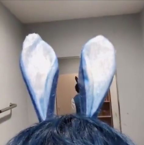 Hair Fan, Best Friend Questions, Questions For Friends, Blue Bunny, Korean Aesthetic, Hair, Blue