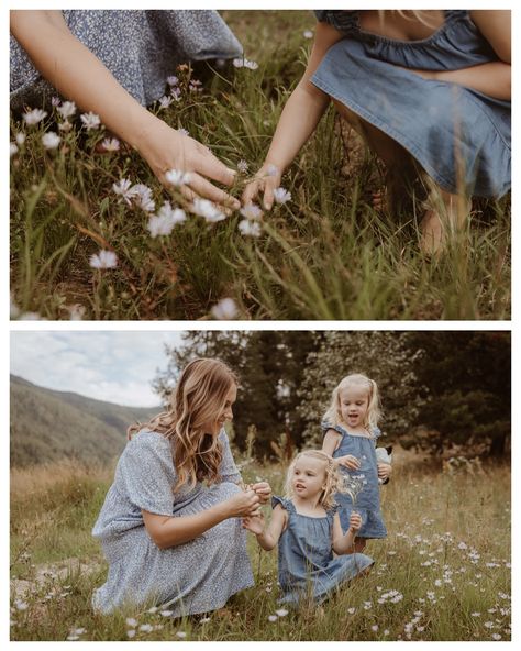 There’s never a dull moment with this adorable family and their spirited little girls! Saying I look forward to their yearly session is an understatement—these two are always full of surprises with new tricks, hilarious sayings, and plenty of personality. And I’m absolutely here for it! #kootenayfamilyphotographer #kootenayphotographer #westkootenayphotographer Hilarious Sayings, Never A Dull Moment, New Tricks, Family Photographer, Funny Quotes, In This Moment, Photographer, Quick Saves