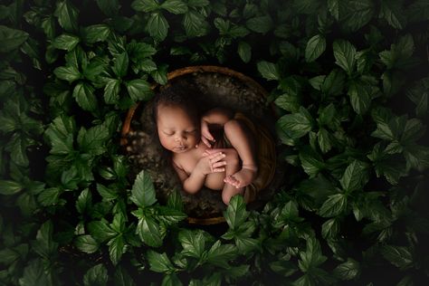 Mountain Newborn Pictures, Forest Newborn Photoshoot, Outdoor Newborn Photos, Outdoor Newborn Photography, Diy Newborn Photography, Baby Boy Newborn Photography, Foto Newborn, Newborn Photography Boy, Baby Pictures Newborn