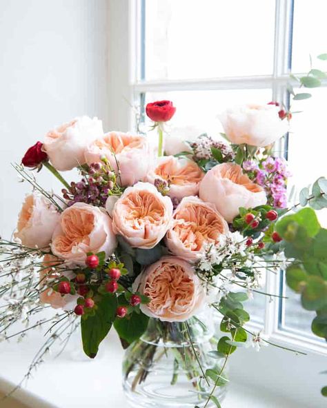 Juliet Roses for Valentines Day Gift Bouquet Juliet Rose Bouquet, Apricot Aesthetic, Expensive Plants, Red Maple Bonsai, David Austin Wedding, Vase Bouquet, Juliet Rose, Expensive Flowers, White Pine Tree