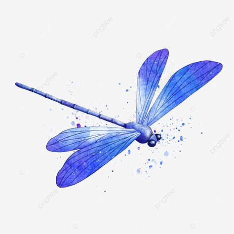 Insect Watercolor, Dragonfly Watercolor, Dragonfly Illustration, Watercolor Dragonfly, Dragonfly Insect, Dragonfly Wings, Blue Skulls, Blue Dragonfly, Watercolor Png