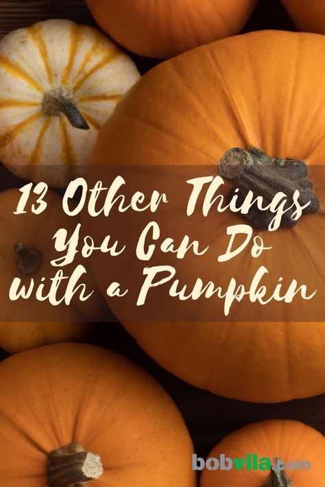 Things You Can Do With A Pumpkin, Things To Do With A Pumpkin, What To Do With Pumpkins, Homemade Punch, Olive Bucket, Pumpkin Bowls, Pumpkin Planter, Large Pumpkins, Pumpkin Spice Candle