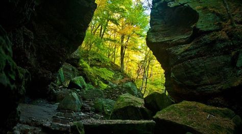 Parfrey's Glen, WI's first State Natural Area, is a spectacular gorge incised into the sandstone conglomerate of the south flank of the Baraboo Hills. Earth Poetry, Baraboo Wisconsin, Driftless Area, Exploring Wisconsin, Travel Wisconsin, Park Forest, Travel America, Hiking Map, Cheap Things To Do