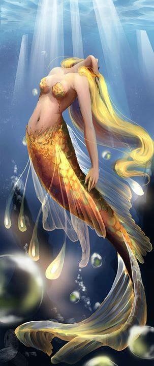 Mermaid with gold tail art Fantasy Mermaids, Mermaid Swimming, Mermaid Fairy, Charcoal Drawings, Fantasy Magic, Mermaids And Mermen, Mermaid Life, Beautiful Mermaids, Mystical Creatures