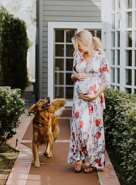 Maternity Pictures With Dog, At Home Maternity Pictures, Home Maternity Pictures, Maternity Photos With Dog, Maternity Photos At Home, Baby Photoshoot Ideas At Home, Photoshoot Ideas At Home, Baby Photoshoot Ideas, Pregnancy Pics