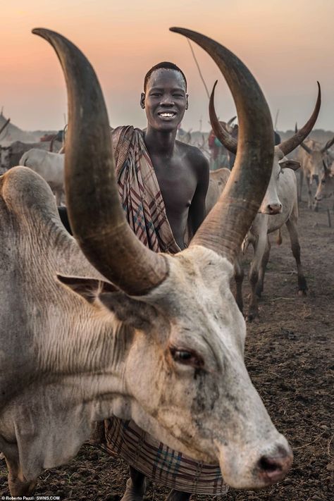 Horned Animals, Cow Pictures, Art Premier, Western Culture, African People, African Culture, People Of The World, African Beauty, African Art