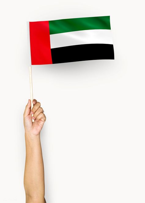 Hand showing flag of United Arab Emirates | free image by rawpixel.com Dubai Flag, Emirates Flag, Uae Flag, Arabic Tattoo Quotes, Hand Images, Arabic Tattoo, Flags Of The World, National Day, Arab Emirates