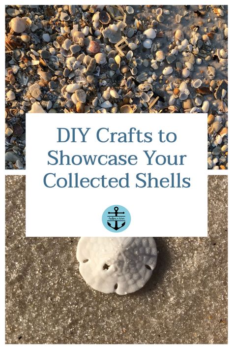 Don't just throw away your collected beach shells. Display them with these 10 fun ways and remember your vacation every time you look at them. Sea Shell Keepsake Vacations, Beach Stone Crafts Diy Projects, Display Sea Shells Ideas, What To Do With Rocks From The Beach, Vacation Seashell Ideas, Collecting Shells On The Beach, Displaying Shells Collection Ideas, What To Do With Shells From Vacation, Shell Memory Craft