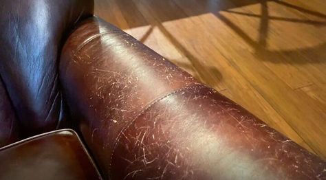 Don’t chuck that leather couch just because it’s scratch! Here at Hometalk we’ve put together a guide to help you repair damaged leather quickly and easily. Leather Furniture Repair, Anthropologie Candle, Heirloom Traditions Paint, Avocado Dyeing, Stencils Tutorials, Heirloom Traditions, Easy Pets, Leather Repair, Painted Chairs