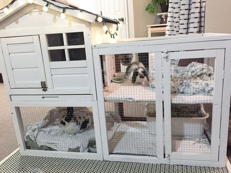 Instagram gigi.and.lumi White diy split level bunny rabbit hutch for indoor housing and small spaces. Plenty of room to lay out, and make sure HOURS of roaming time OR simply take the door off the hindge for free roam. Diy Bunny Hutch, Diy Bunny Cage, Indoor Rabbit House, Diy Rabbit Cage, Rabbit Hutch Indoor, Indoor Rabbit Cage, Diy Rabbit Hutch, Running Room, Rabbit Enclosure