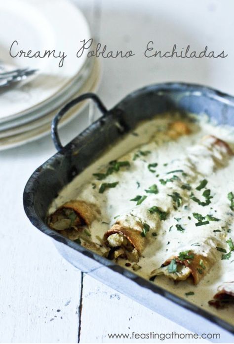 Roasted Poblano Enchiladas with Chicken or Cauliflower - with a delicious velvety poblano cream sauce. Serve with fresh cilantro and lime. | www.feastingathome.com Poblano Enchiladas, Poblano Cream Sauce, Feasting At Home, Roasted Poblano Peppers, Roasted Poblano, White Chicken Enchiladas, Creamy Chicken Enchiladas, Recipes Authentic, Stuffed Poblano Peppers