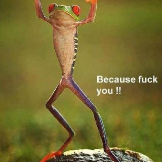 Frog Flipping Off Someone Frog Flipping Off, Hands Up In The Air, Flipping Off, Frog Quotes, Anabolic Steroids, Toad, Pharmacy, Humor, Animals