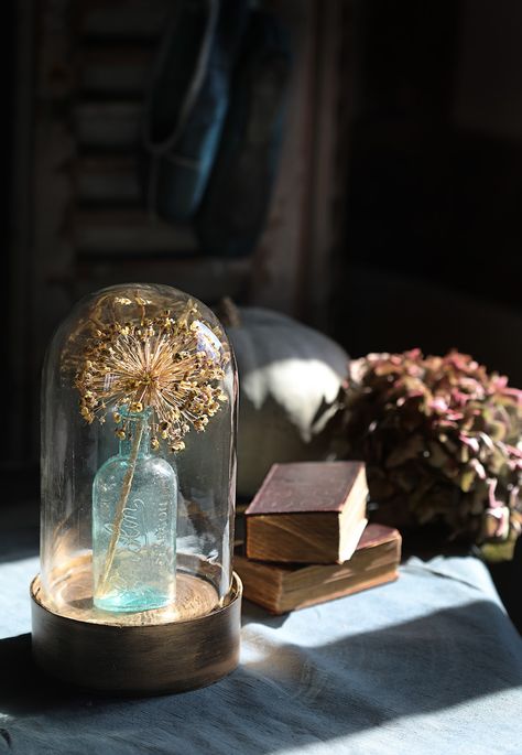 Cloche Decor Ideas, Cloche Decor, Glass Dome Cloche, Glass Bell Jar, Interiors Photography, Magical Home, Afternoon Sun, Photography Home, The Bell Jar