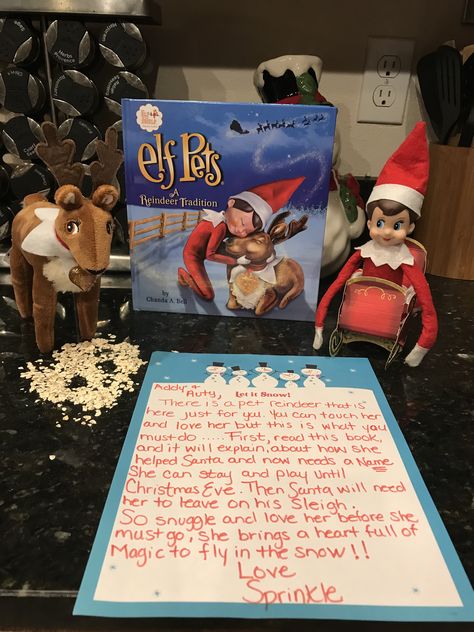 Elf On The Shelf Dog Food, Introducing Elf On The Shelf Pets, Elf On The Shelf Arrival Ideas With Pet, How To Introduce Elf Pet, Elf On The Shelf Pets Reindeer Arrival, Elf Pet Arrival Ideas, Elf On The Shelf Pet Ideas St Bernard, Elf With Reindeer Pet Ideas, Elf On Shelf Pet Ideas