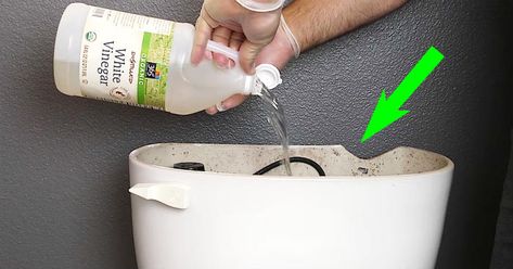 Vinegar In Toilet Tank, Vinegar Cleaning, Bathroom Cleaning Hacks, Toilet Tank, Household Cleaning Tips, Cleaners Homemade, Toilet Cleaning, White Vinegar, Back To Nature