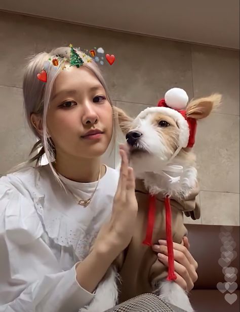 #hank_says_hank Rose Christmas Blackpink, Hank Rose, Pop Christmas, Stickers Whatsapp, Rosé Lq, Christmas Pfp, Rosé Christmas, Rosie Posie, Blackpink Icons