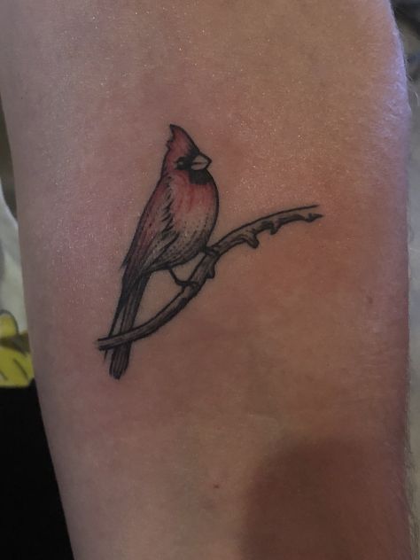 #cardinal #smallcardinal #cardinaltattoo #smalltattoo #smallcardinaltattoo #finelines #shading Small Cardinal Tattoos For Women, Small Cardinal Tattoo Memorial, Bird Outline Tattoo, Cardinal Bird Tattoos, Red Cardinal Tattoos, Small Cardinal Tattoo, Sister Tats, Wrist Tatoo, Tattoo 2022