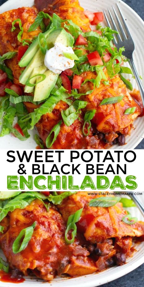 Loaded with seasoned sweet potatoes, protein-packed black beans, brown rice, and slathered in a flavorful enchilada sauce, these are the best vegan enchiladas! This dish will have everyone coming back for seconds! #VeganEnchiladas #SweetPotatoBlackBeanEnchiladas Vegetarian Sweet Potato Recipes, Sweet Potato Black Bean Enchiladas, Sweet Potato Vegetarian, Veggie Enchiladas, Delicious Vegetarian Dinner, Sweet Potato Black Bean, Vegan Enchiladas, Black Bean Enchiladas, Vegetarian Enchiladas