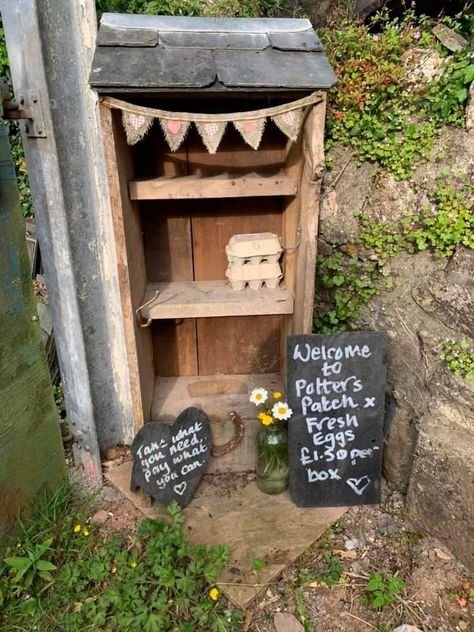 Honesty Stall Ideas, Flower Honesty Stand, Honesty Box For Eggs, Egg Honesty Box Ideas, Honesty Box Roadside, Honesty Box Ideas, Egg Sale Stand, Honesty Stall, Selling Stand