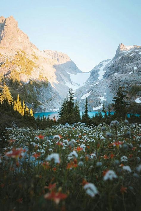 Camping Checklist, Alpine Lake, Beautiful Lakes, Pine Trees, Nature Aesthetic, Photography Nature, Pretty Places, Nature Travel, Summer Camp