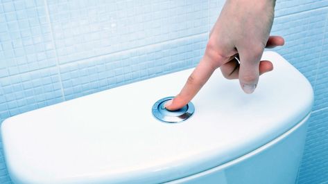 Have low-flow toilets truly unseated their old-school counterparts in a game of thrones? We have the lowdown on whether they measure up. Running Toilet Repair, How To Fix A Wobbly Toilet, Unplug Toilet Without Plunger, Toilet Flush Button, Plumbing Toilet Flush Sensor, Automatic Litter Box, Toilet Repair, Solid Waste, Water Usage