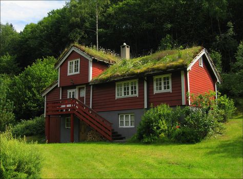 Typical Norwegian House Norwegian House Exterior, Norway Wallpaper, Norwegian Architecture, Norway House, Norwegian House, Grass Roof, Red Houses, Pretty Cottage, Cabin Style