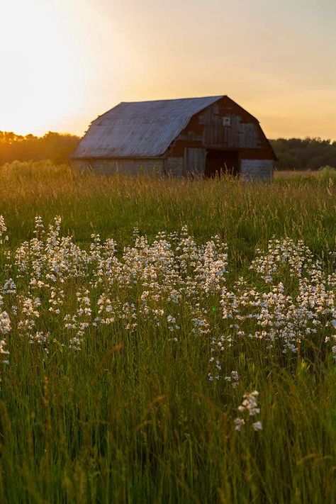 Prairie Aesthetic, Art Kits For Kids, Country Summer, Marion County, Pretty Landscapes, Old Barns, Old Farm, Art Kits, Old Barn