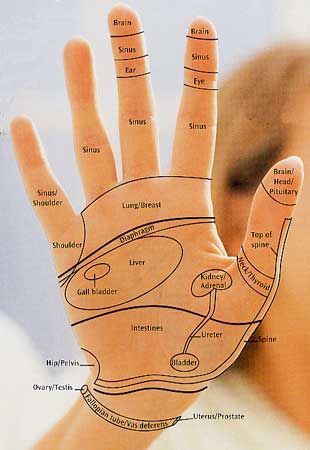 Reflexology Hand, Ear Reflexology, Reflexology Points, Hand Reflexology, Reflexology Chart, Reflexology Massage, Trening Fitness, Trigger Points, Alternative Health