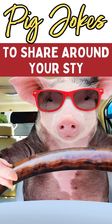 Cute pig jokes for kids. Silly jokes about pigs. Pig Jokes, Roast Veggies, Halloween Jokes, Funny Jokes For Kids, Cute Pig, Silly Jokes, Jokes For Kids, Family Entertainment, Cute Pigs