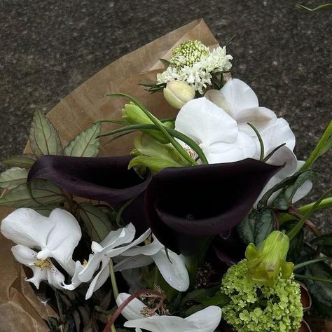 Out Of Stalk on Instagram: "A dance of shadows and light  Black calla lily stands as a muse of elegance, it’s dark velvety petals as a canvas of mystery and sophistication  . . . . . . #sgbridal #sgbridalbouquet #bridalwedding #bridalbouquet #blackcallalilies #fritillaries #whitephalaenopsis" Dark Bouquet, Calla Lillies Bouquet, Moody Wedding Flowers, Black Calla Lily, Calla Lily Bridal Bouquet, Black Bouquet, Calla Lily Bridal, Shadows And Light, Lilly Flower