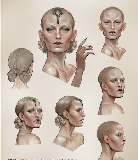 Dragon Age Inquisition Characters, Dragon Age Games, Dragon Age 2, Dragon Age Inquisition, Dragon Age, Drawing People, Character Design Inspiration, Character Concept, Art Tutorials