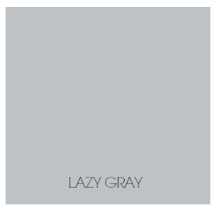 Lazy Grey by Sherwin Williams - all-over color! Florida Bedroom, Remodeling Mobile Homes, Bath Remodel, Boy's Room, Home Remodeling, Paint Colors, Home Improvement, New Homes, Thing 1