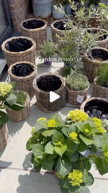 The Basket Company | Wicker Baskets on Instagram: "Throwback to Charlie @hollybushhome's gardening reel as she gets her charming country garden ready for warmer and brighter weather by planting all her favourite greenery in our rustic Grey & Buff Rattan Wicker Planters. And with summer only around the corner once again, it's time to get your gardening gloves back on!⁣" Wicker Planter, Gardening Gloves, Country Garden, Country Gardening, Around The Corner, Wicker Baskets, Planting, Baskets, Gloves