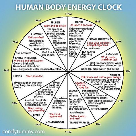 https://flic.kr/p/s94vFr | Inspired by Traditional Chinese Medicine (TCM), this human body energy clock is a neat #infographic! Let me know if you've tried following what it prescribes here. Chinese Body Clock, Body Clock, Energy Medicine, Body Energy, Traditional Chinese Medicine, Alternative Health, The Human Body, Reflexology, Chinese Medicine