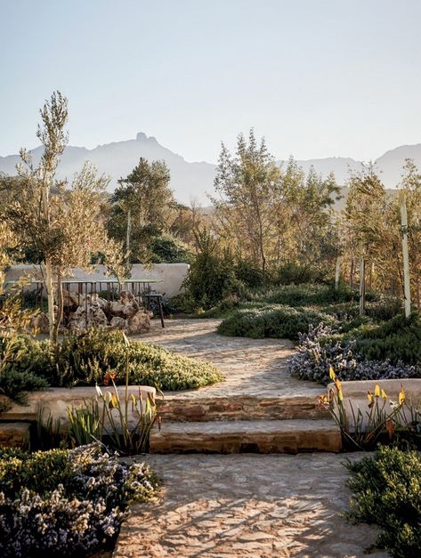 Rural Landscaping Ideas, Country Yard Ideas, Farmhouse Garden Landscaping, Karoo Garden, Farmhouse Patio Ideas, Karoo Farmhouse, Hacienda Garden, Spanish Landscaping, Texas Hill Country Landscape