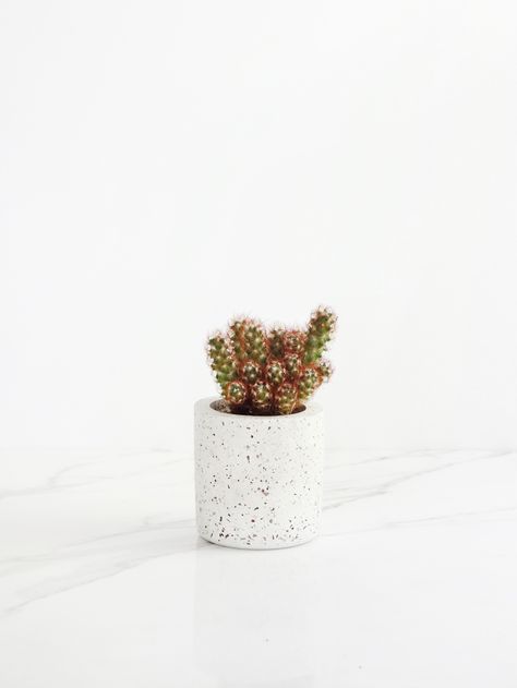 Concrete, Basalt & Marble Planters | Conpot London Peckham London, Concrete Marble, Red Granite, Cast Concrete, Black Basalt, Cactus Pot, Work Diy, Concrete Planters, Hand Cast