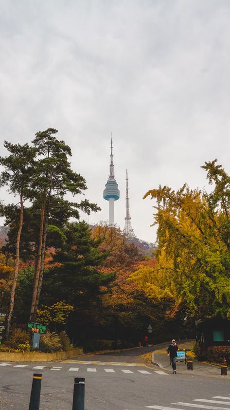 Seoul Autumn Aesthetic, South Korea Fall, Fall In Seoul, Autumn In Seoul, Gloomy Sky, Manifest 2024, Korea Photography, Korea Autumn, Autumn In Korea